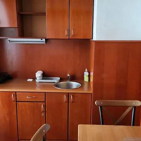 Dukat Apartmani-studio アパート Vrnjačka Banja